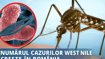 Alerta sanitara in Romania. Tot...